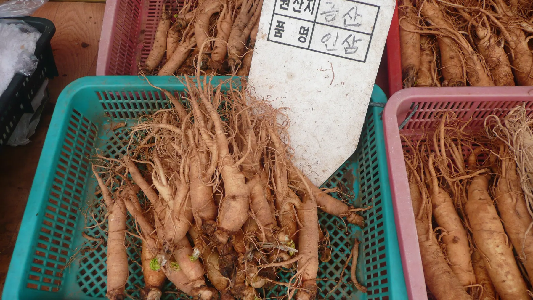 Fresh Korean ginseng roots at a market